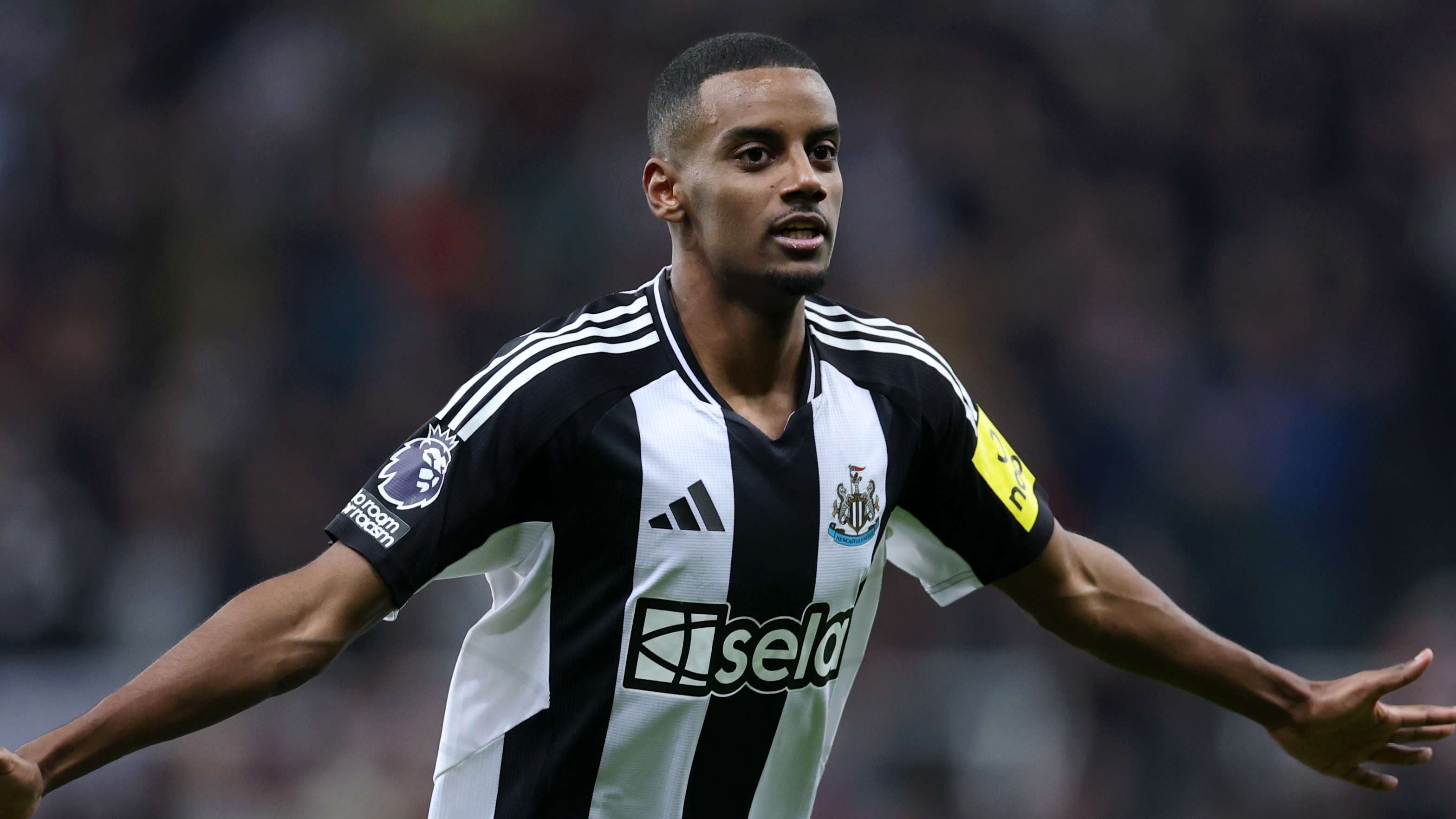 更是他展现 更是他展现